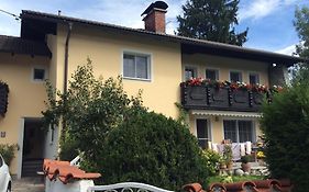 B&B Elfi